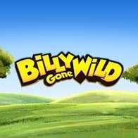 Billy Gone Wild Sportingbet