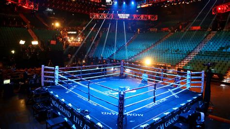 Boxing Arena Review 2024