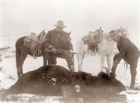 Buffalo Hunt Brabet