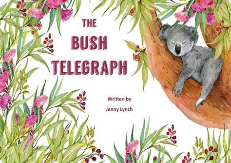 Bush Telegraph Betfair