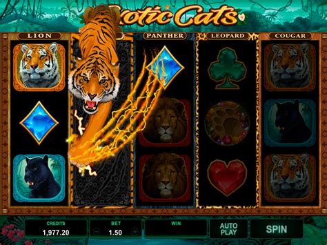 Exotic Cats Slot - Play Online