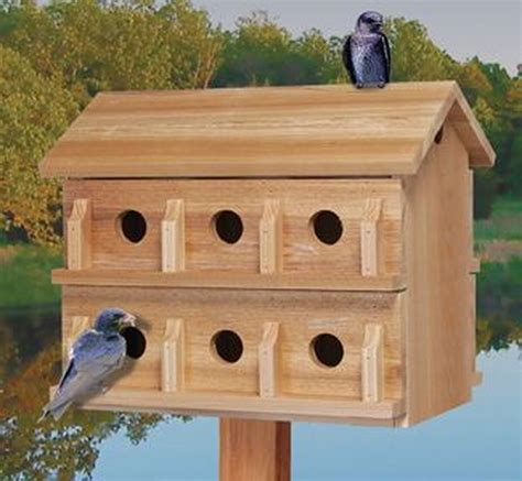 Jogue The Bird House Online