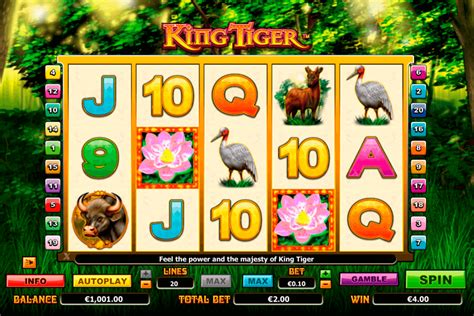 King Casino Apostas