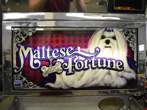 Maltes Fortune