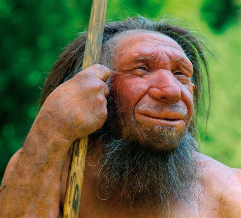 Neanderthals Betano