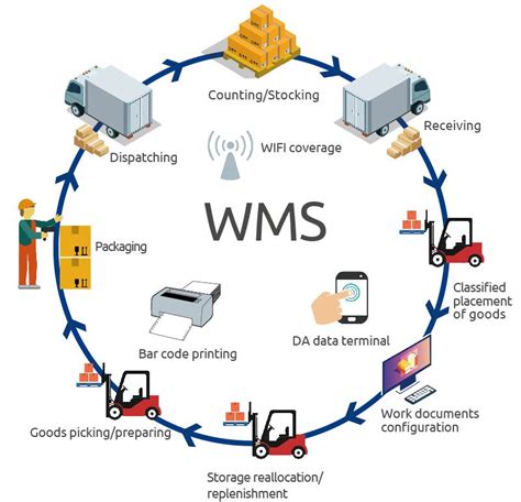 Oracle Wms Fissuracao