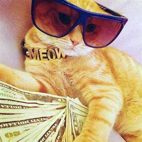 Rich Kittens Blaze