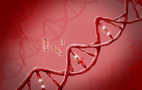 Roleta Genetica A Aposta Em Nossas Vidas Revisao