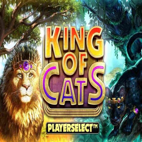 Slot King Of Cats Megaways