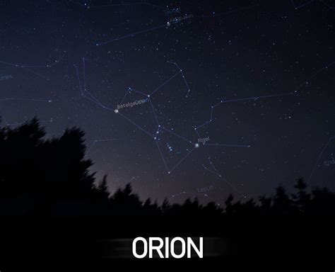 Stars Of Orion Brabet