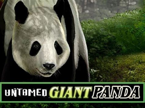 Untamed Giant Panda Bet365