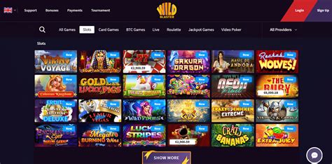 Wildblaster Casino App