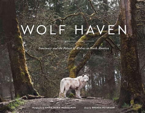 Wolf Haven Bodog